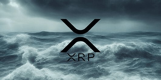 XRP未來價值預測2024年到2050年