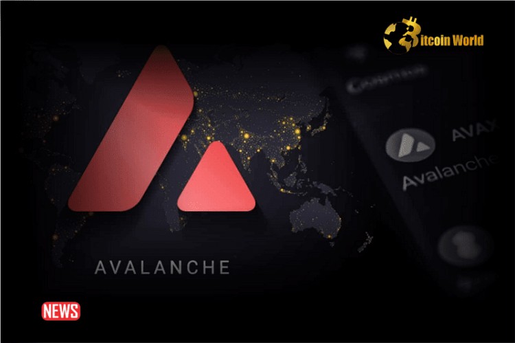 Avalanche (AVAX)價格24小時上漲12%