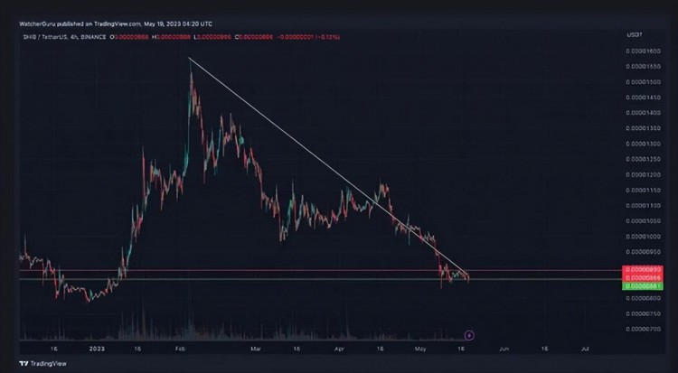 ShibaInu：什麼時候可以預購冷錢包SHIB到0.01美元