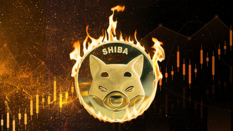 SHIBAINUSHIB燃燒量激增1638SHIBAINU團隊持續努力燃燒SHIB代幣加密貨幣行情盡在DEFIDRAFT