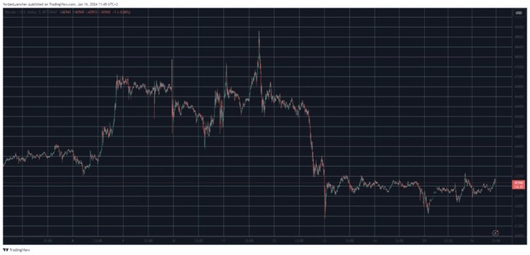 BTC Market Rollercoaster: Dominance Drops