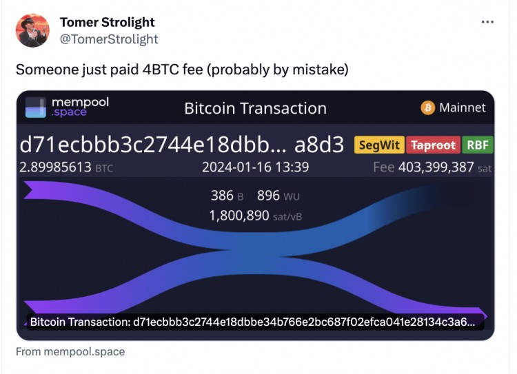 有人隻轉帳29BTC就損失了174000美元的交易費用