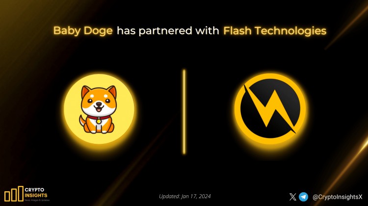 BabyDogeCoin與Flash Technologies合作 BNChain上持有最多的mem