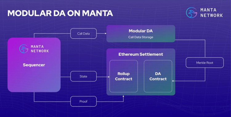 MANTA2024您可能低估的代幣