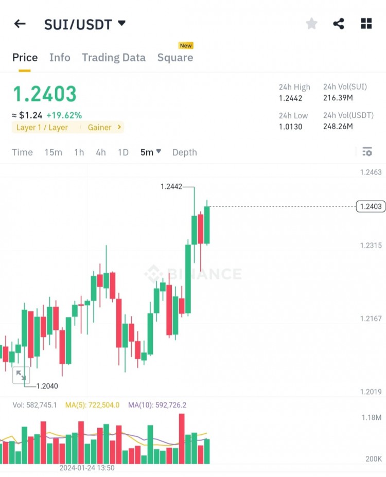 SUI 代幣未來價格分析預測