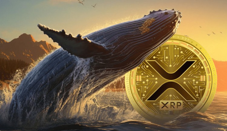 XRP鯨魚行動引發市場震盪