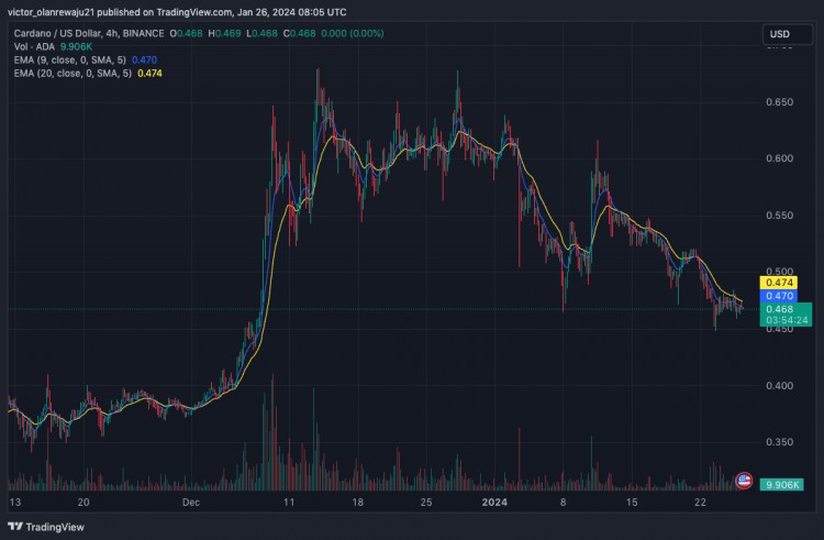 XRPADAAVAXDOT和TON下週預測價格分析