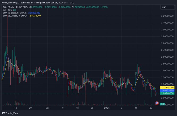 XRPADAAVAXDOT和TON下週預測價格分析