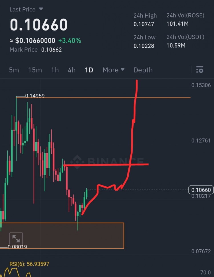 OASISNETWORKROSE長期投資潛力