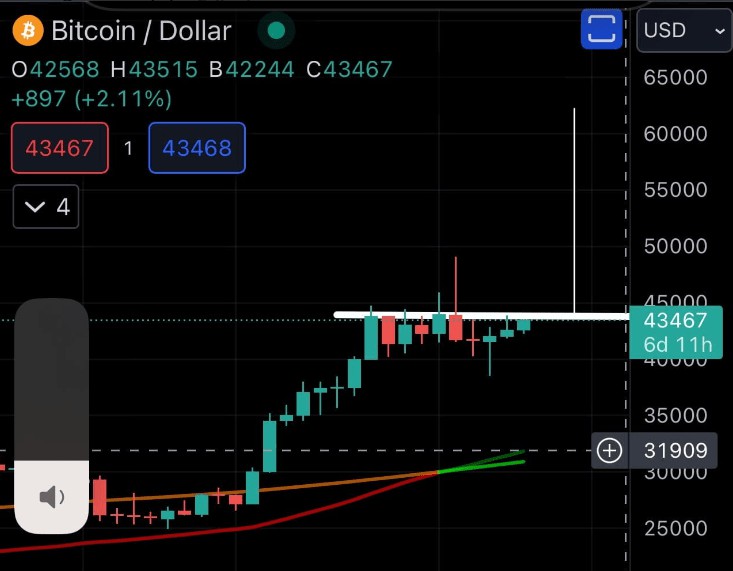 BTC的二月行情