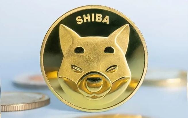 SHIBA傳奇我的加密投資悲劇