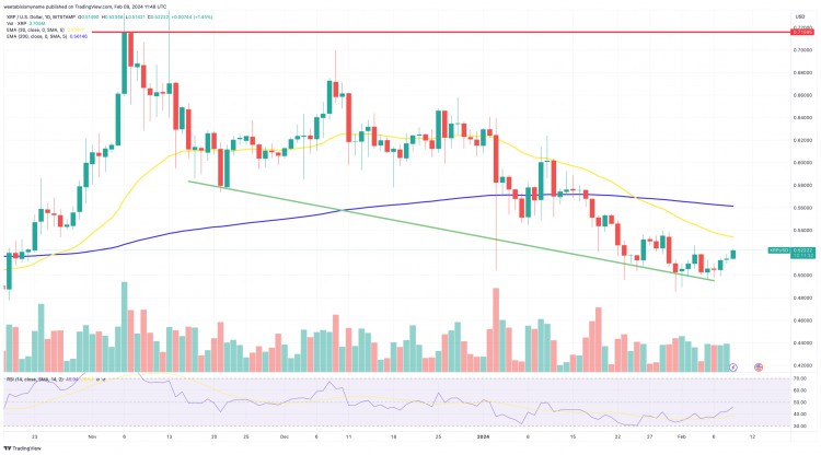 XRP 價格指標看漲是上漲的必要條件嗎？