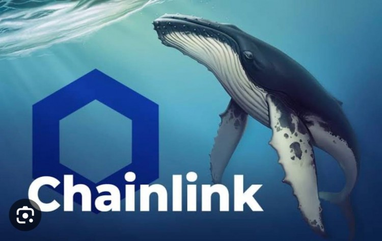 CHAINLINK持有者樂觀鯨魚激增LINK代幣