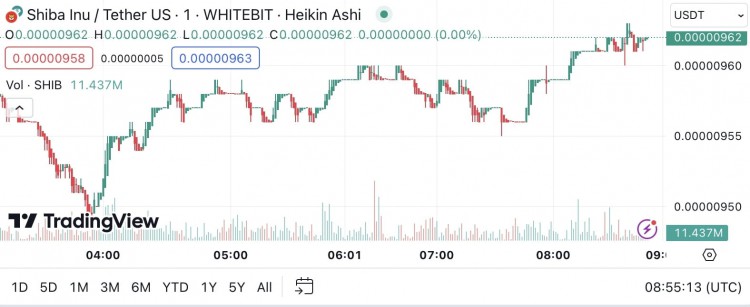 SHIBAINU頂尖專家的關注