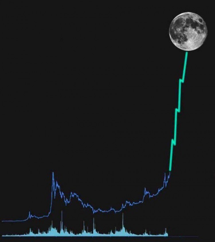 幣安上值得關注的五種代幣