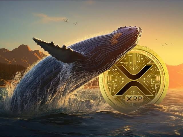 XRP價格接近053美元幣安鯨魚籌集25億枚代幣市場看漲