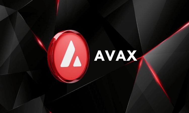 AVAX下一次牛市的加密貨幣動力