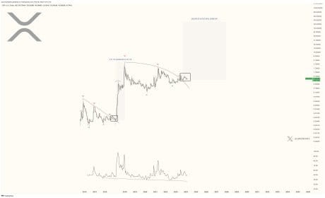 XRP價格飆升分析師預測將突破200美元