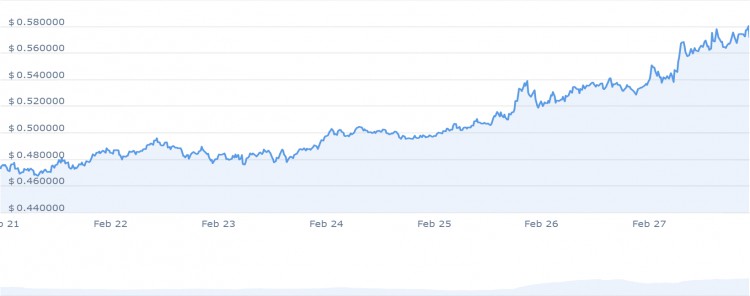 2月28日立即投資的6種最佳山寨幣ARWEAVEINJECTIVEDOGECOIN