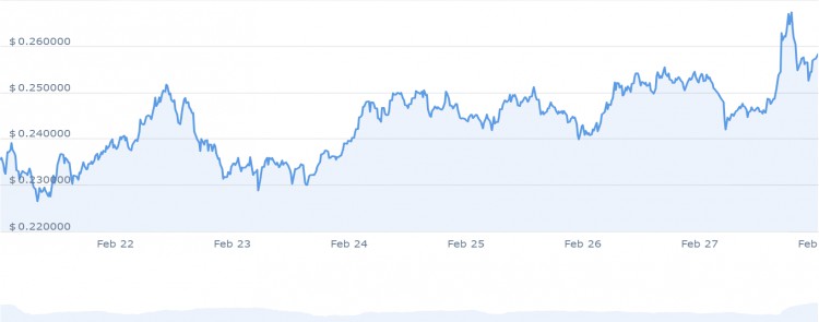 2月28日立即投資的6種最佳山寨幣ARWEAVEINJECTIVEDOGECOIN