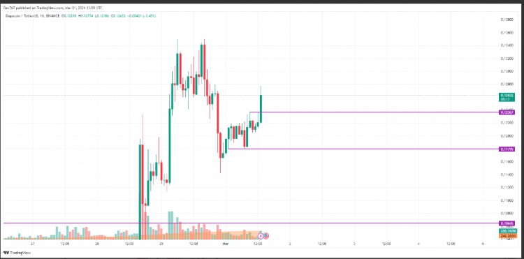 DOGE3月1日價格預測