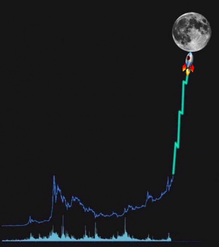 牛市前值得關注的加密貨幣