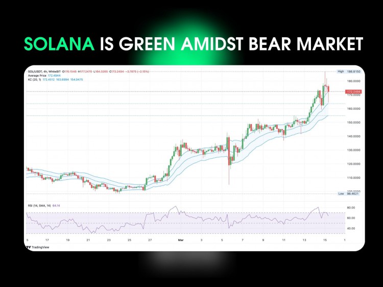 SOLANA在市場崩盤中保持綠色UTODAY的資料