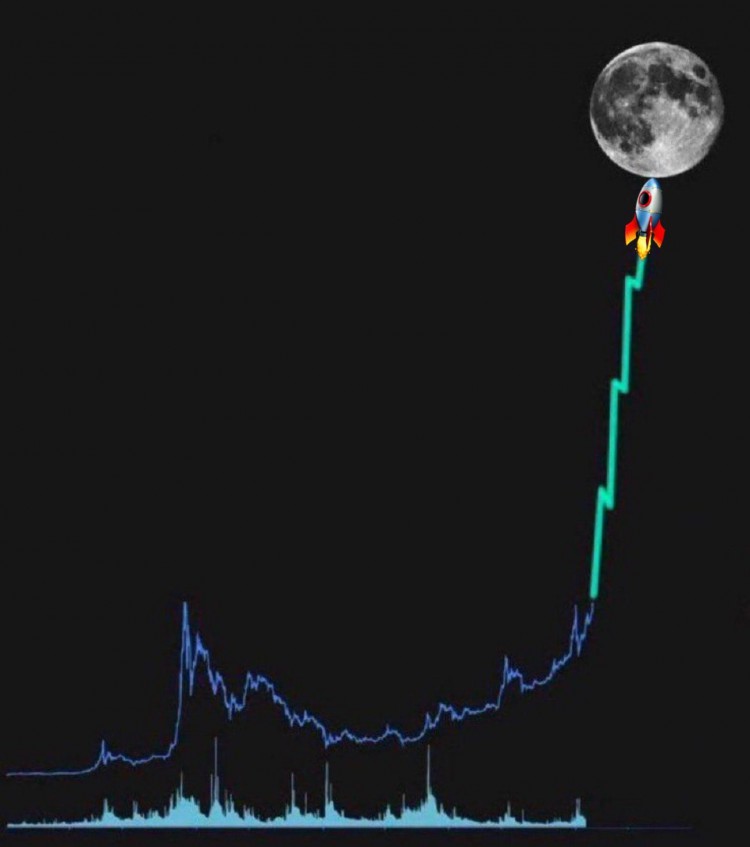 硬幣比特幣減半倒數抓住機會