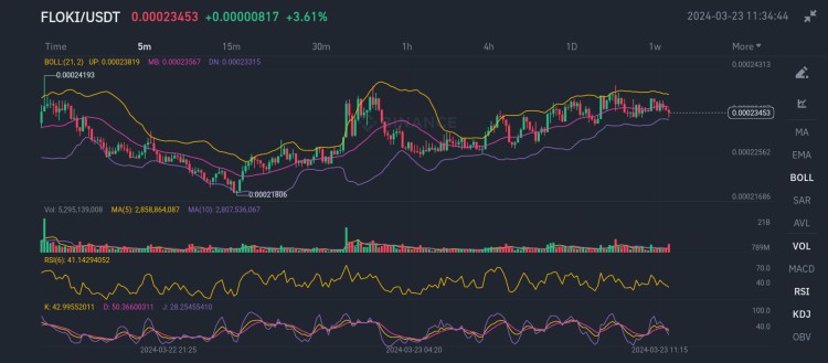 弗洛基/USDT 技術分析