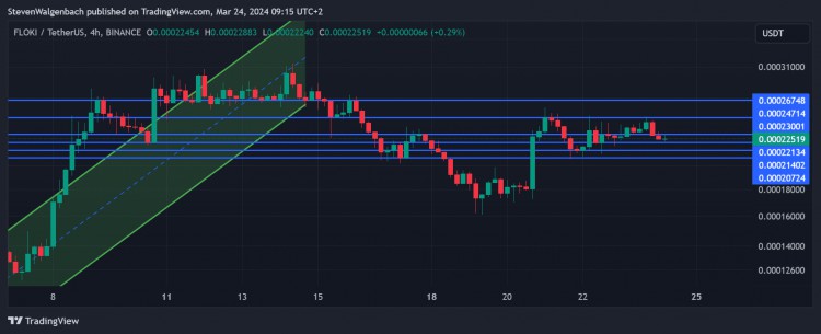 弗洛基價格預測：FLOKI 的潛在方向