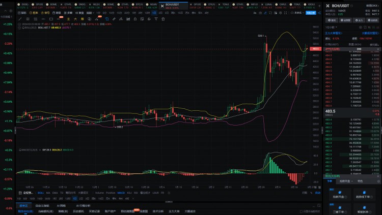 2024年真正的100倍硬幣將隻有這6種