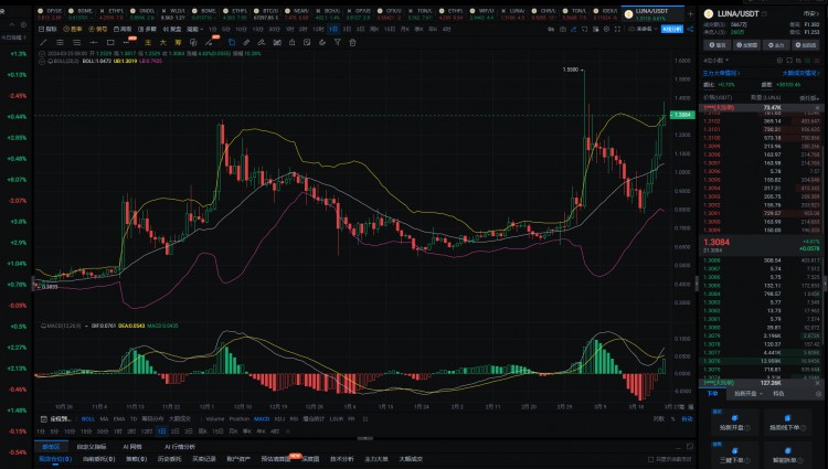 2024年真正的100倍硬幣將隻有這6種