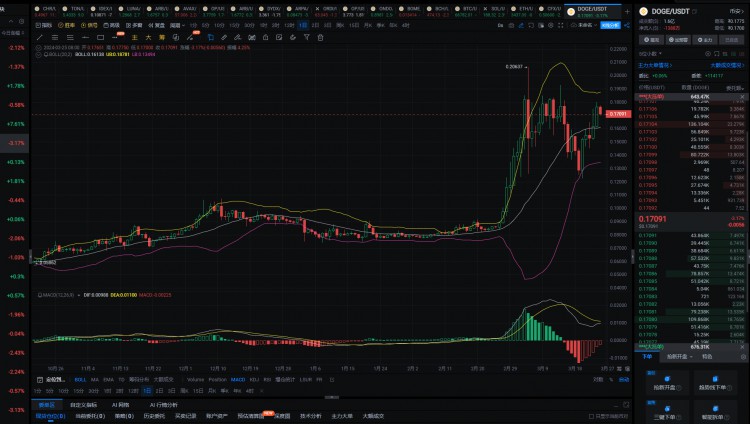 2024年真正的100倍硬幣將隻有這6種