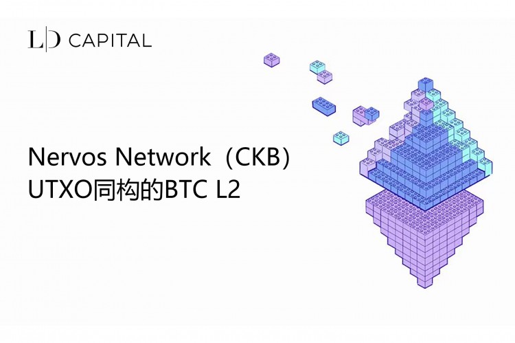 LD Capital：Nervos Network（CKB）：UTXO同構的BTC L2