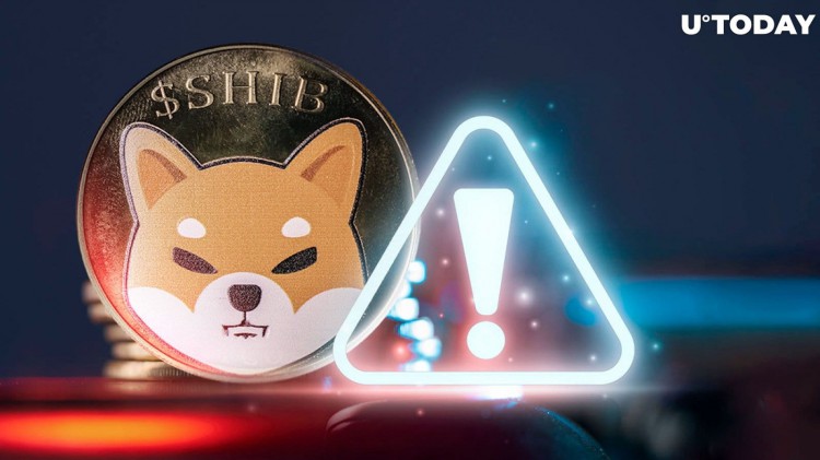 Shiba Inu 團隊成員對 SHIB 社區發出重要警告：詳細信息