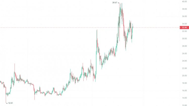 CHERISHEVERYPULLBACKINTHEBULLMARKETFOCUSONBUYINGTHESE6CRYPTOCURRENCIESATTHEBOTTOM