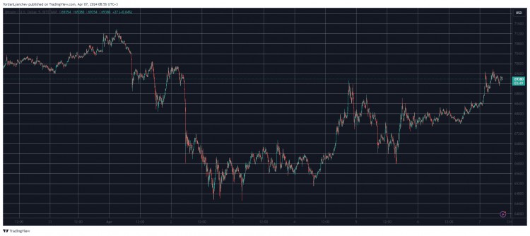 DOGE、WIF成為當今表現最佳的貨幣，BTC目標為7萬美元