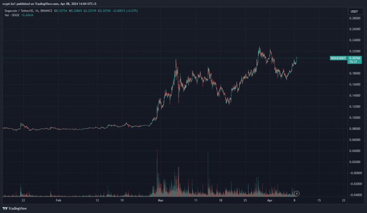 $DOGE：輝煌歲月再現？