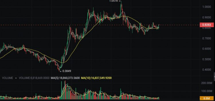 比特幣會漲到8萬嗎5種潛力百倍的加密貨幣你擁有嗎